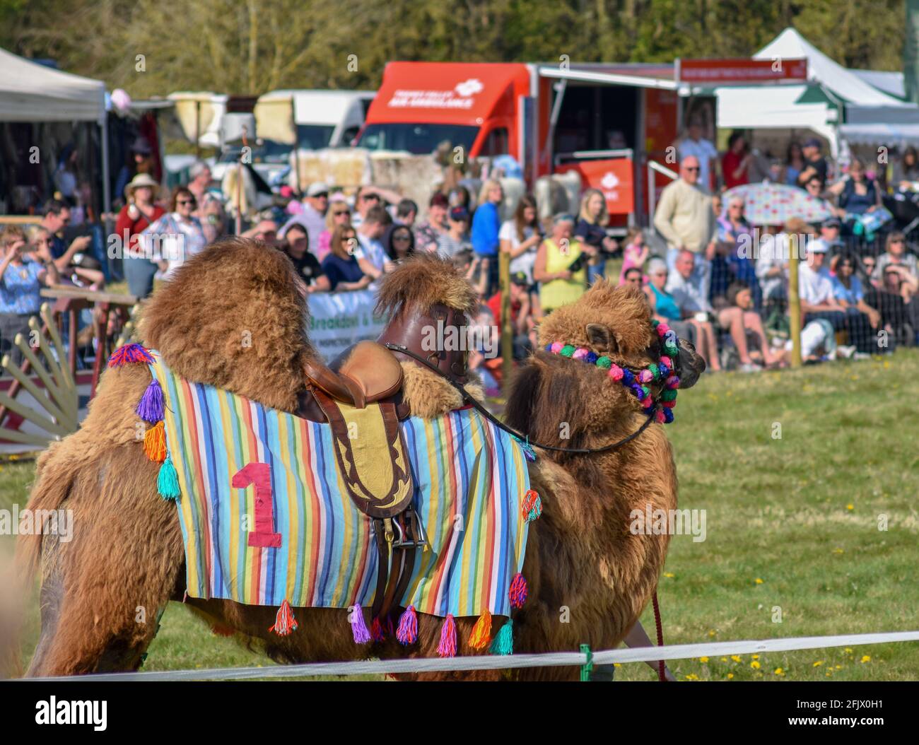 Lambourn Horse Racing open day Stock Photo - Alamy