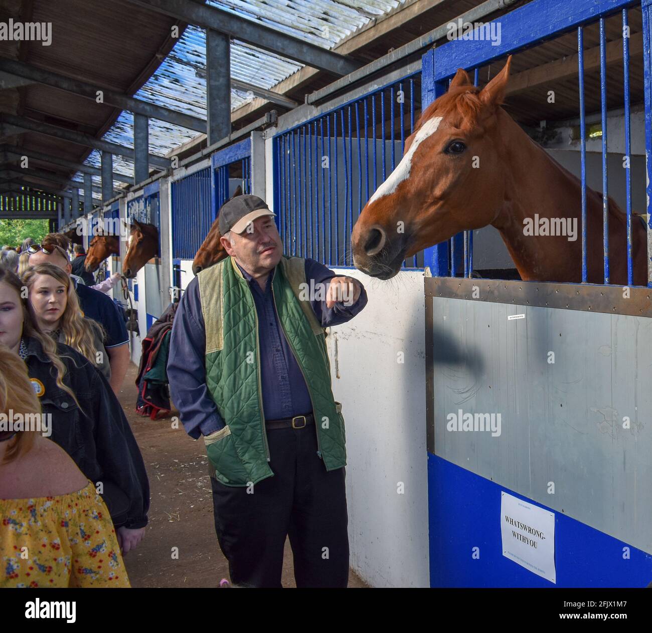 Lambourn Racing open day, National Hunt Horses Stock Photo - Alamy