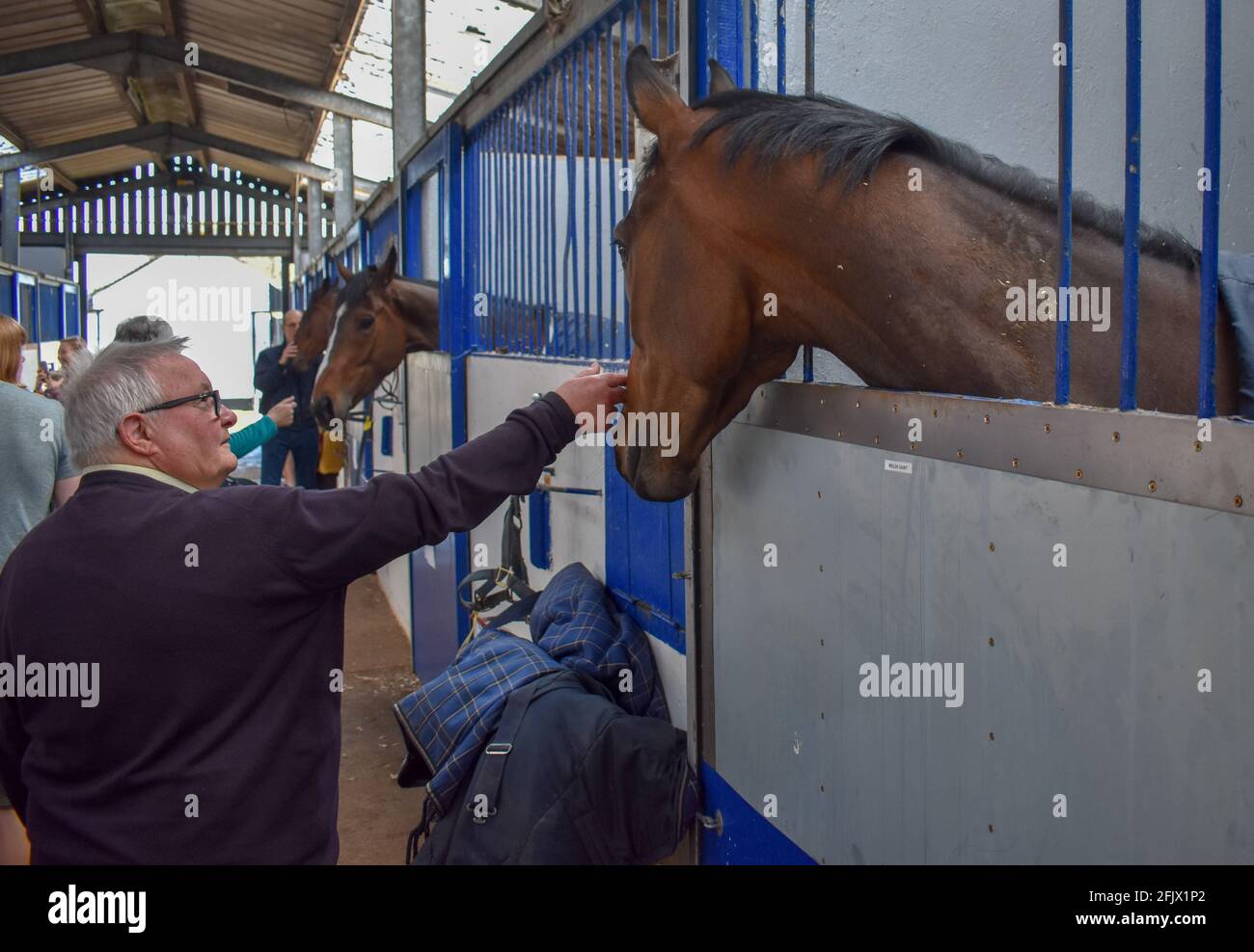 Lambourn Racing open day, National Hunt Horses Stock Photo Alamy