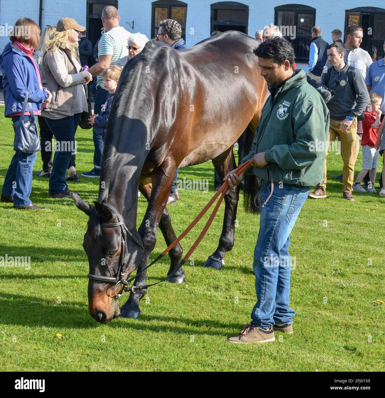 Lambourn Racing open day, National Hunt Horses Stock Photo - Alamy
