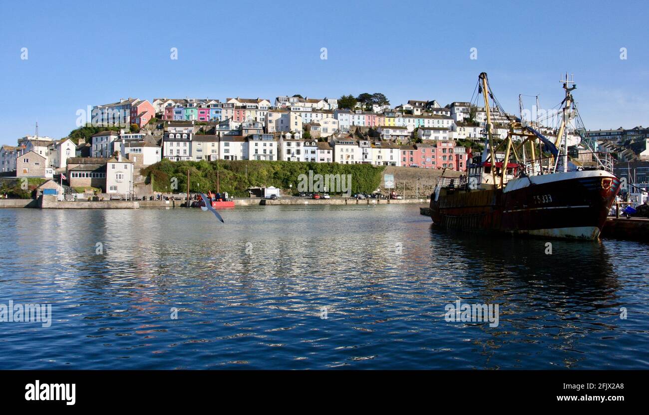 Colourful houses in the Brixham Harbour region, Devon Stock Photo Alamy