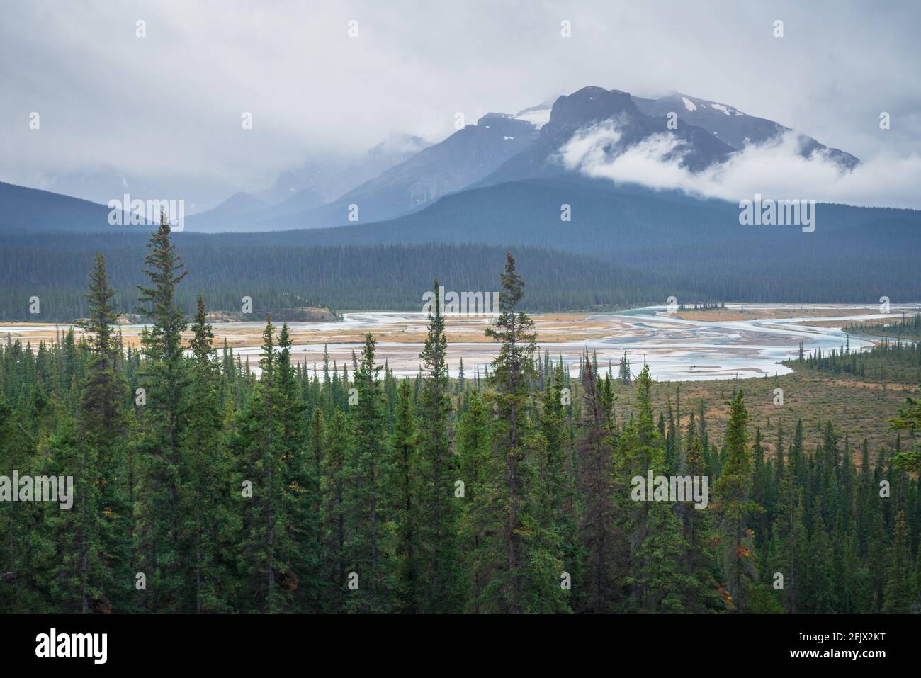 Map of jasper hires stock photography and images Alamy