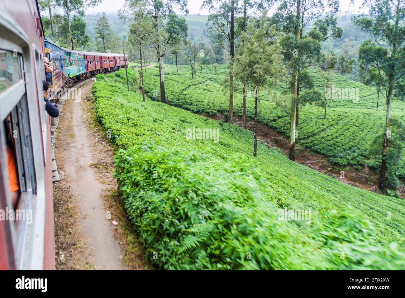 NANU OYA, SRI LANKA - JULY 16, 2016: Local train rides through a rural landscape near Nanu Oya village, Sri Lanka Stock Photo