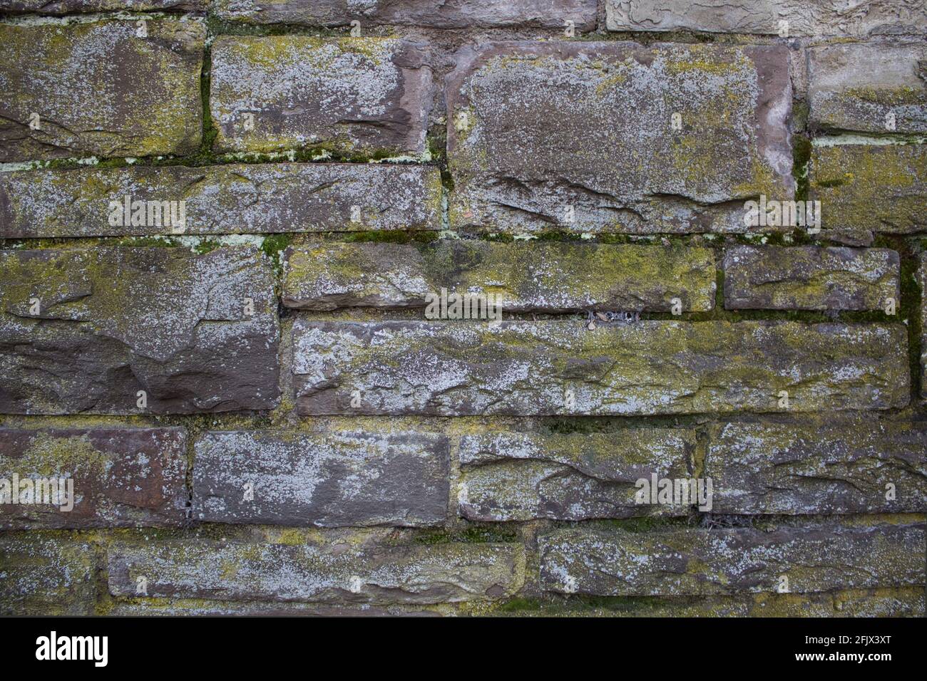 Old stone wall covered with moss Stock Photo - Alamy