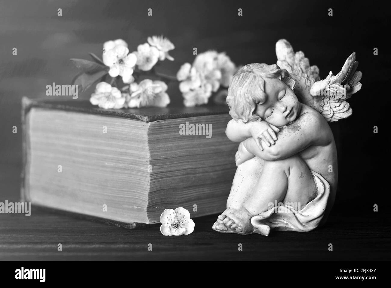 Guardian angel, spring flowers and old book Stock Photo