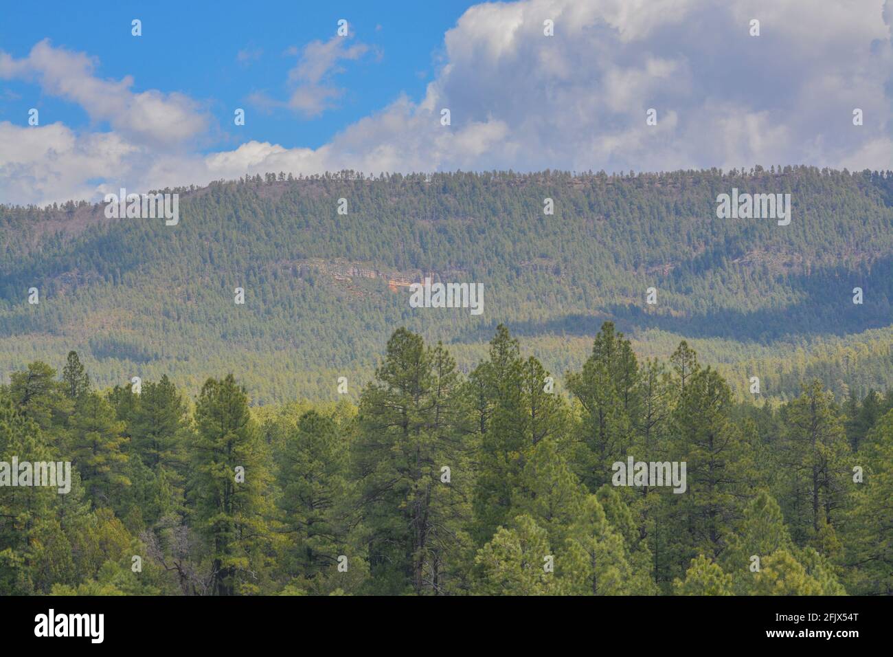 Apache Sitgreaves National Forests High Resolution Stock Photography and  Images - Alamy