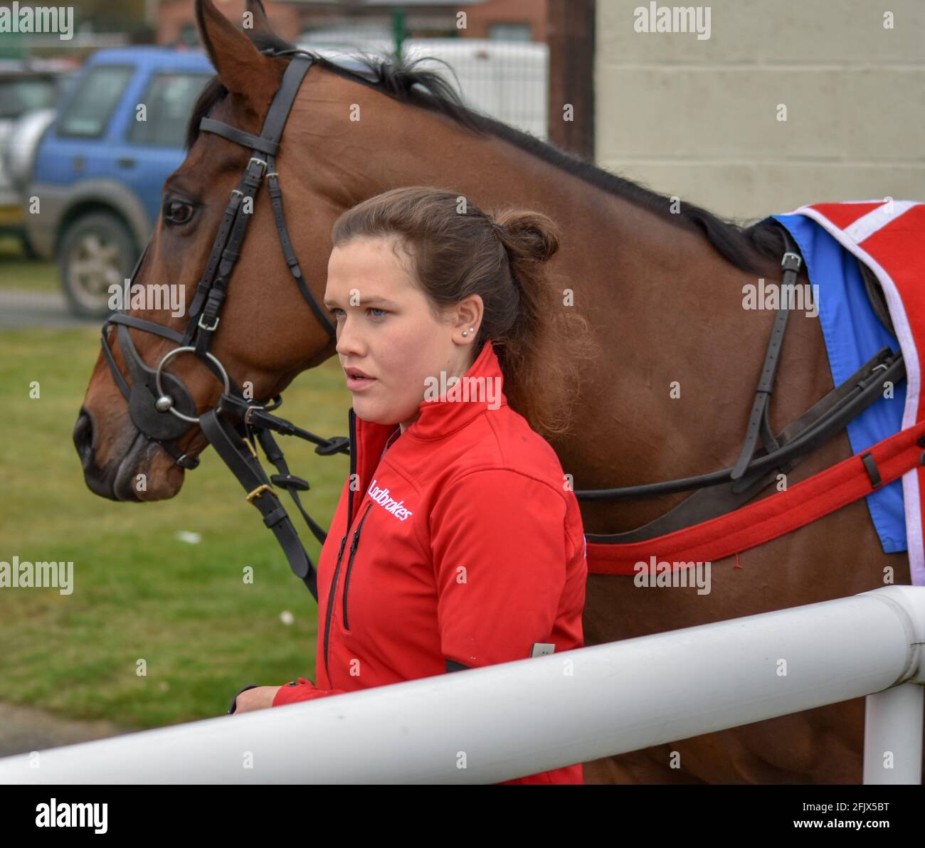 Ludlow Horse Racing meeting, National Hunt racing Stock Photo Alamy