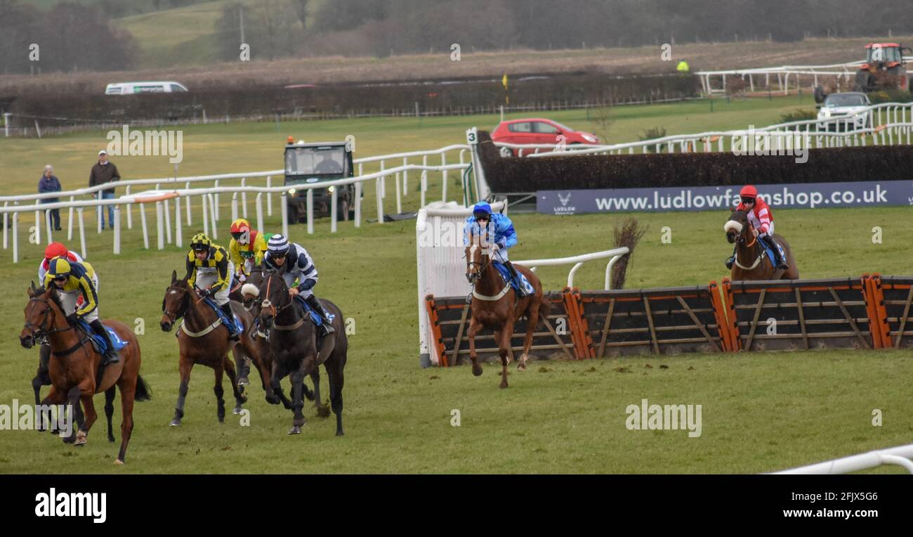 Ludlow Horse Racing meeting, National Hunt racing Stock Photo - Alamy