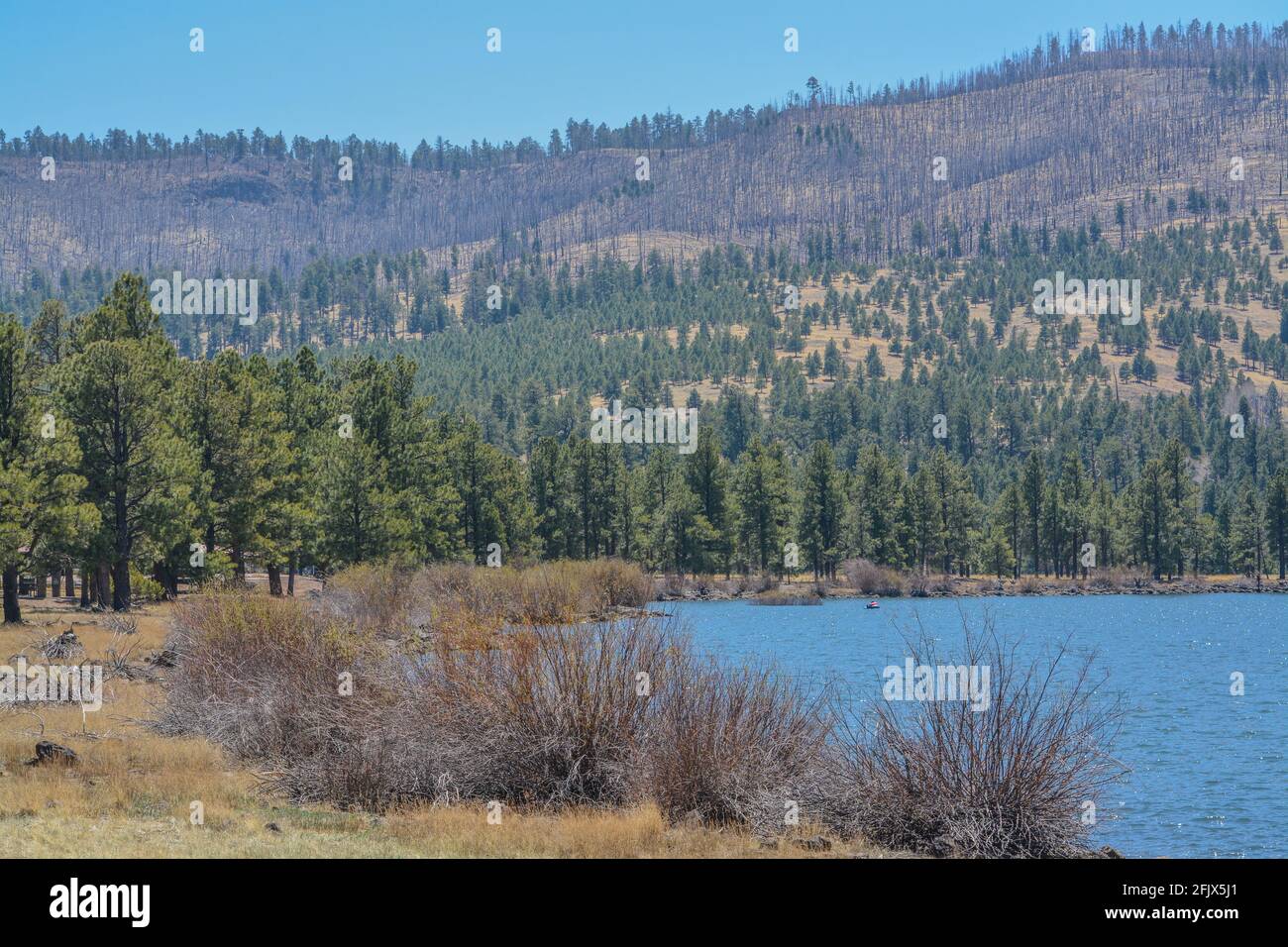 Tunnel Reservoir in the high country of the White Mountains in Greer
