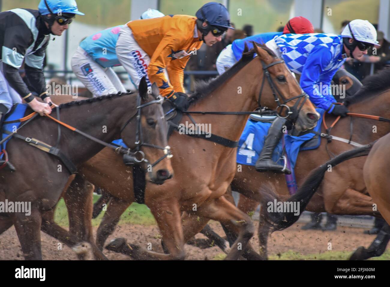 Ludlow Horse Racing meeting, National Hunt racing Stock Photo Alamy