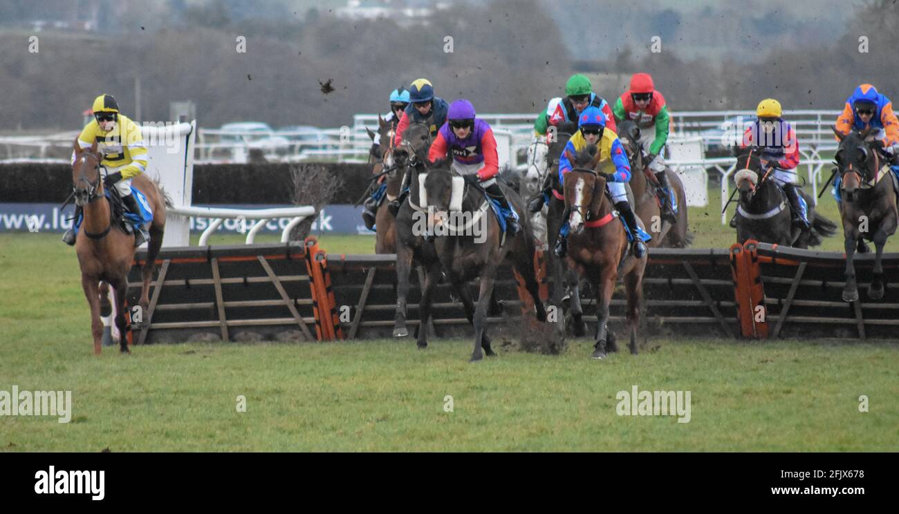 Ludlow Horse Racing meeting, National Hunt racing Stock Photo Alamy