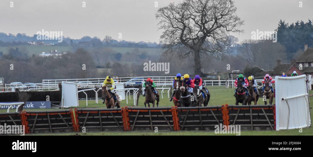 Ludlow Horse Racing meeting, National Hunt racing Stock Photo Alamy