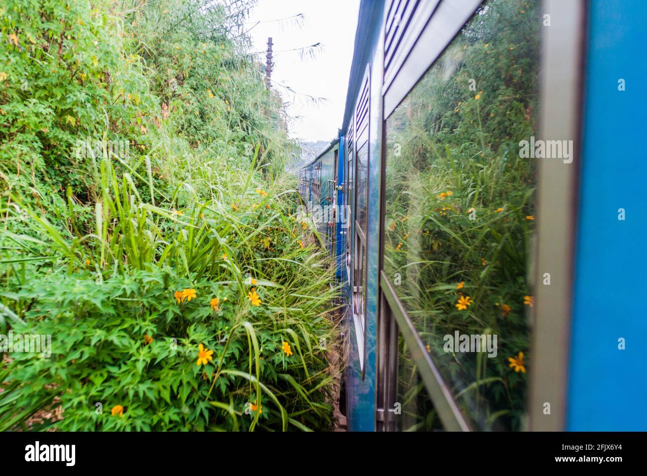 Local Train Rides Local train rides through mountains near Bandarawela, Sri Lanka Stock ...
