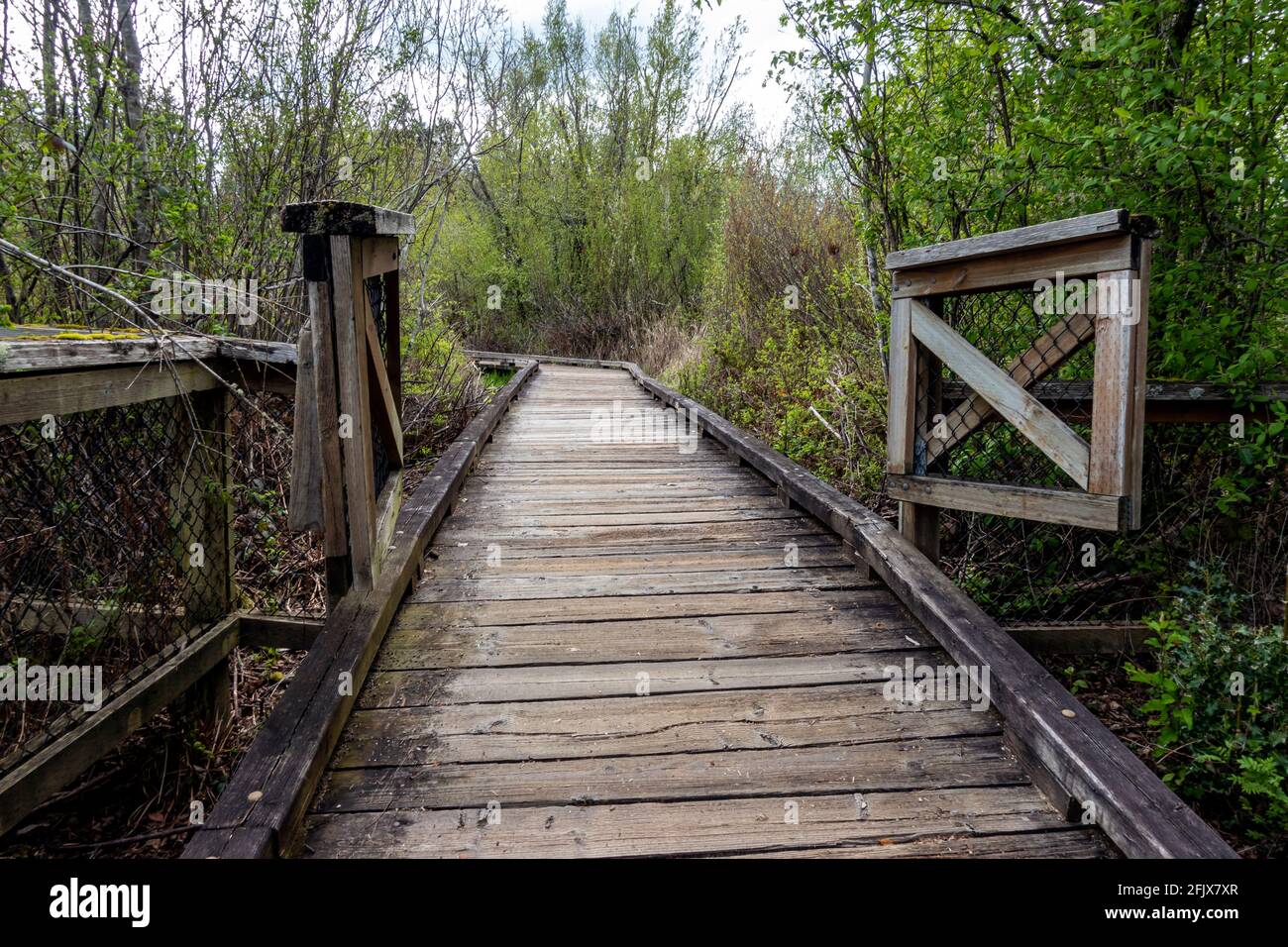 View of a wooden boardwalk with the wooden gate open in a marshland park on a cloudy day Stock Photo