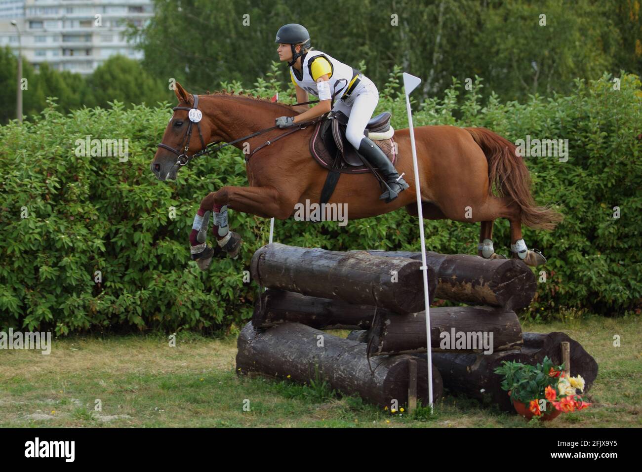 Young girl jumping three day events obstacle with bay sports horse Stock Photo