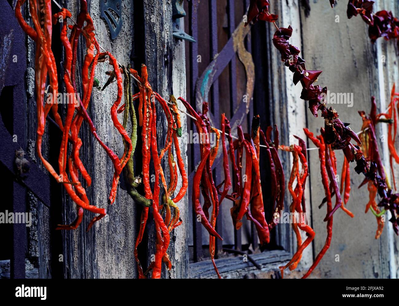 Hanging red and green pepper drying with air. Stock Photo