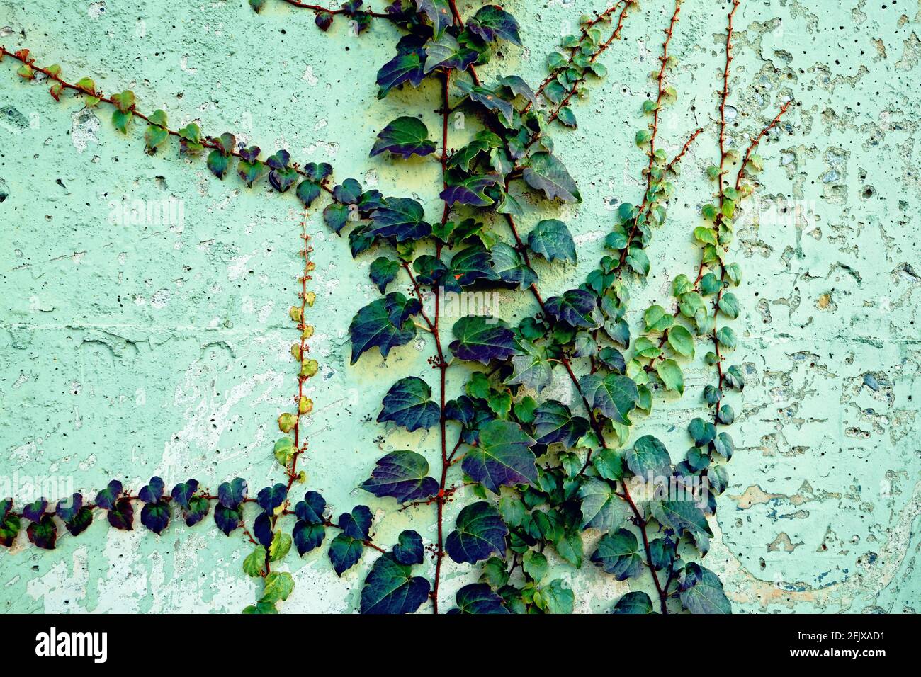 Painted garden backdrop hi-res stock photography and images - Alamy