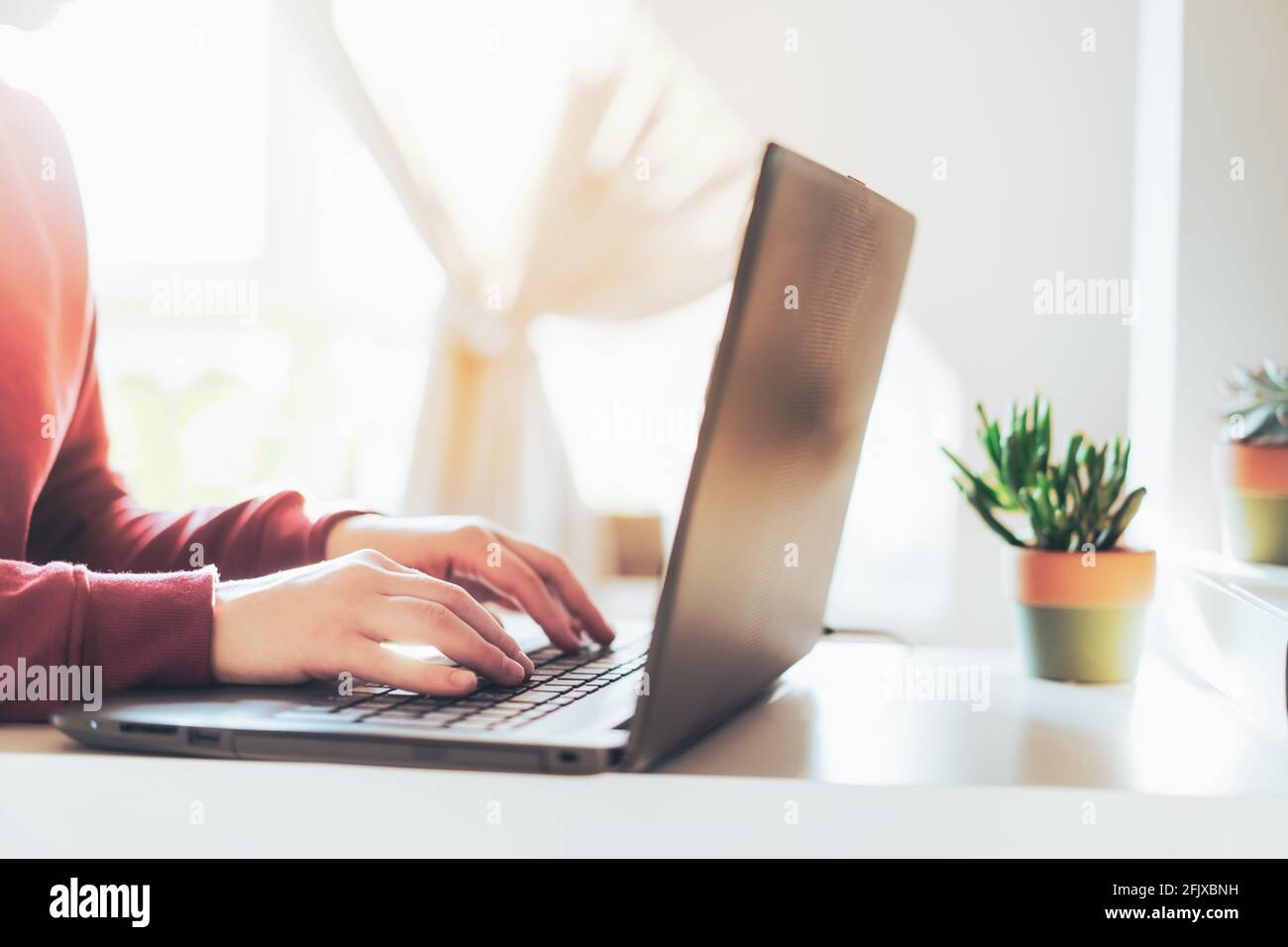Close up a woman hands typing on the keyboard of a laptop on a white desk with a succulent plant. Light room workspace. Remote work, work from home Stock Photo