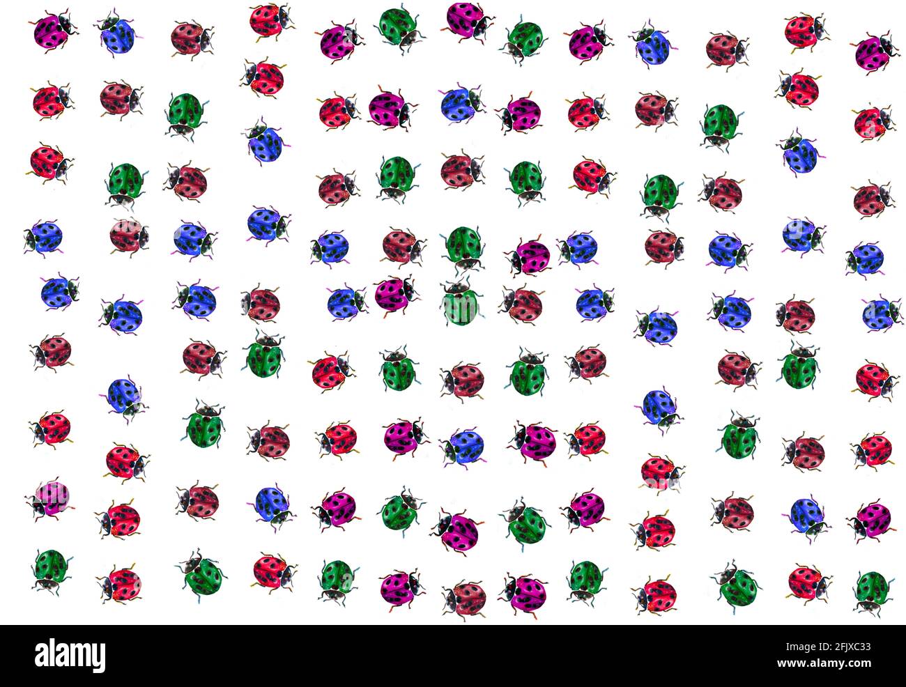 illustration of patterns of a ladybug for textiles or cards, insect ...