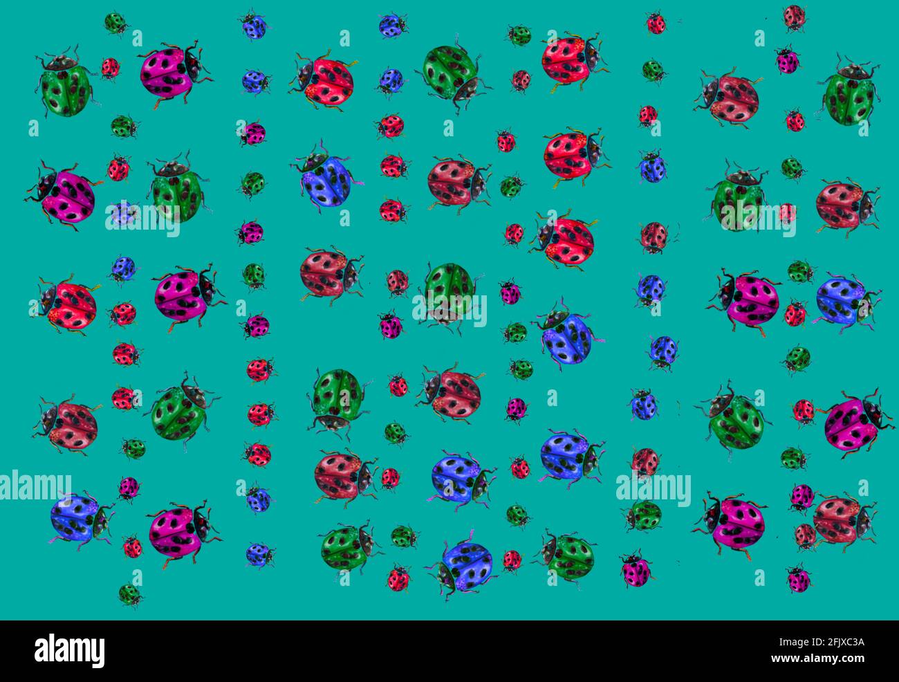 Ladybug Inlay Pattern illustration of patterns of a ladybug for textiles or cards, insect ...