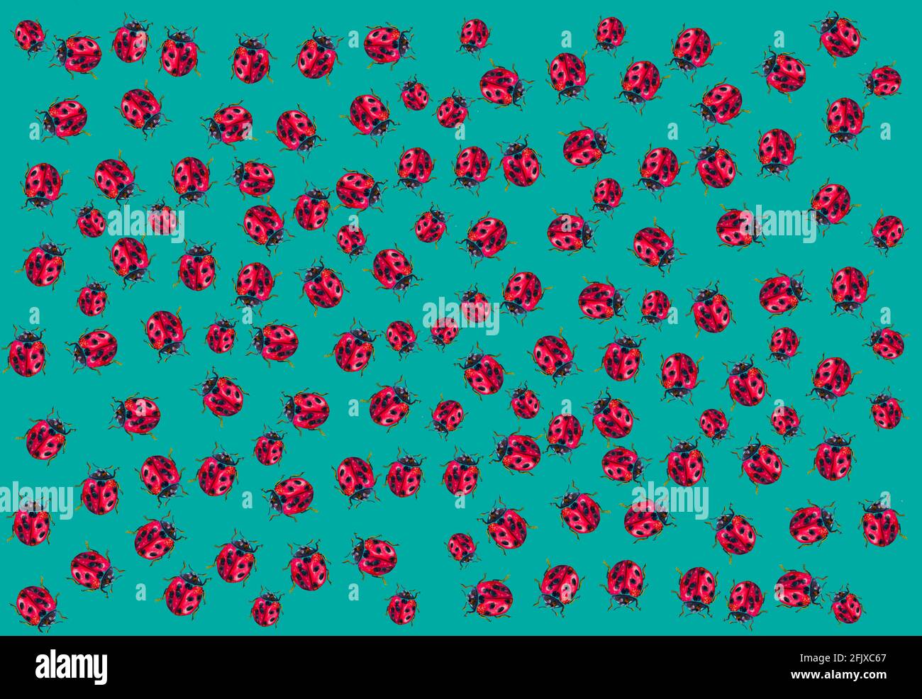 Ladybug Insect Pattern illustration of patterns of a ladybug for textiles or cards, insect ...