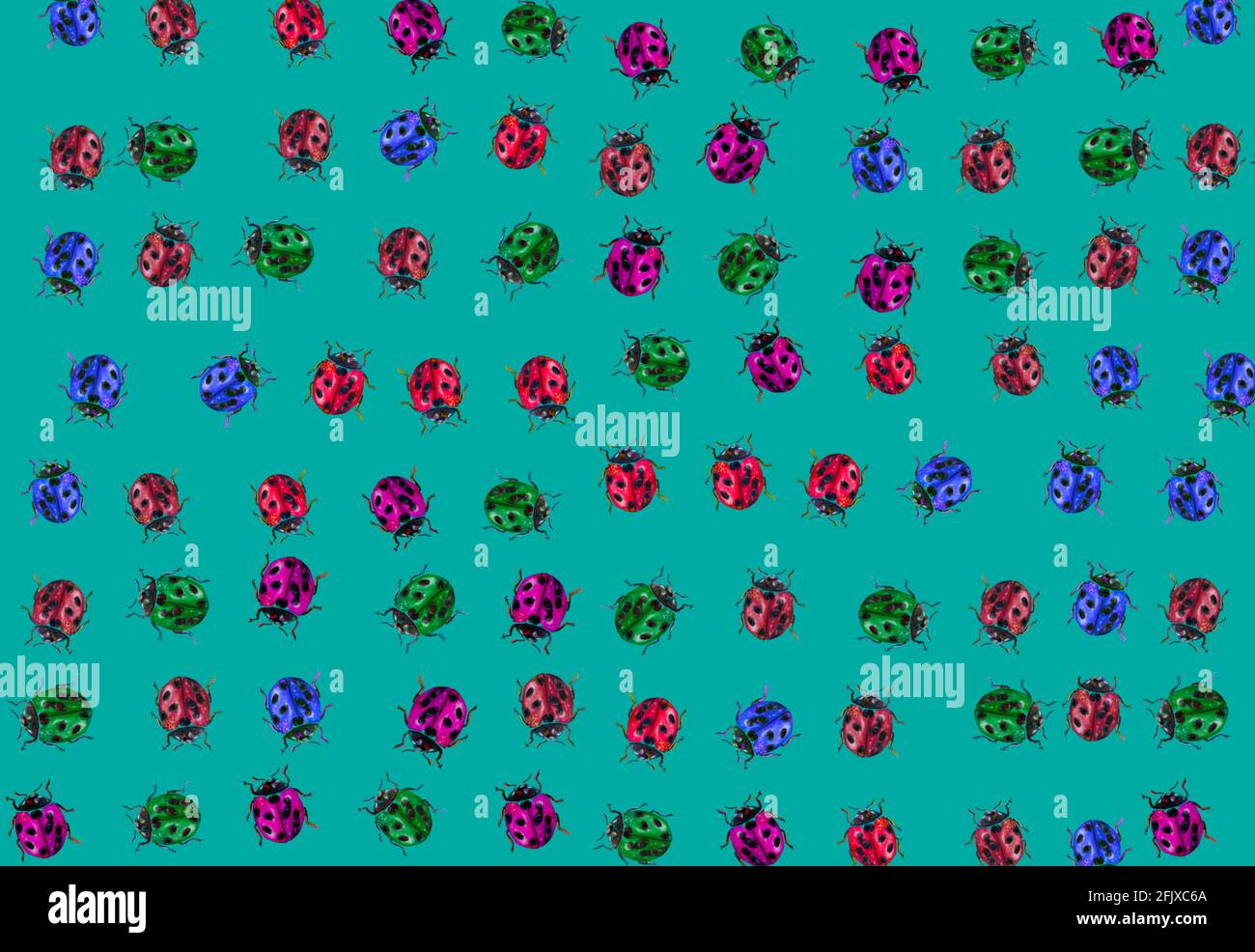Ladybug Insect Pattern illustration of patterns of a ladybug for textiles or cards, insect ...