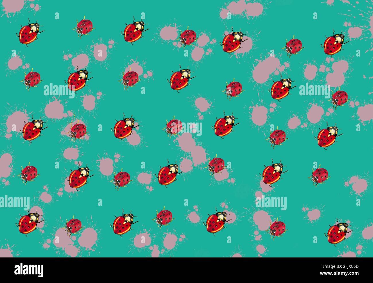 Ladybug Insect Pattern illustration of patterns of a ladybug for textiles or cards, insect ...