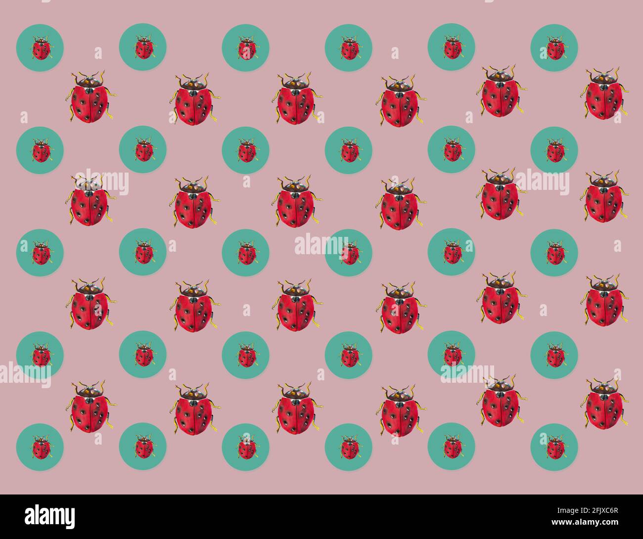 Ladybug Insect Pattern illustration of patterns of a ladybug for textiles or cards, insect ...