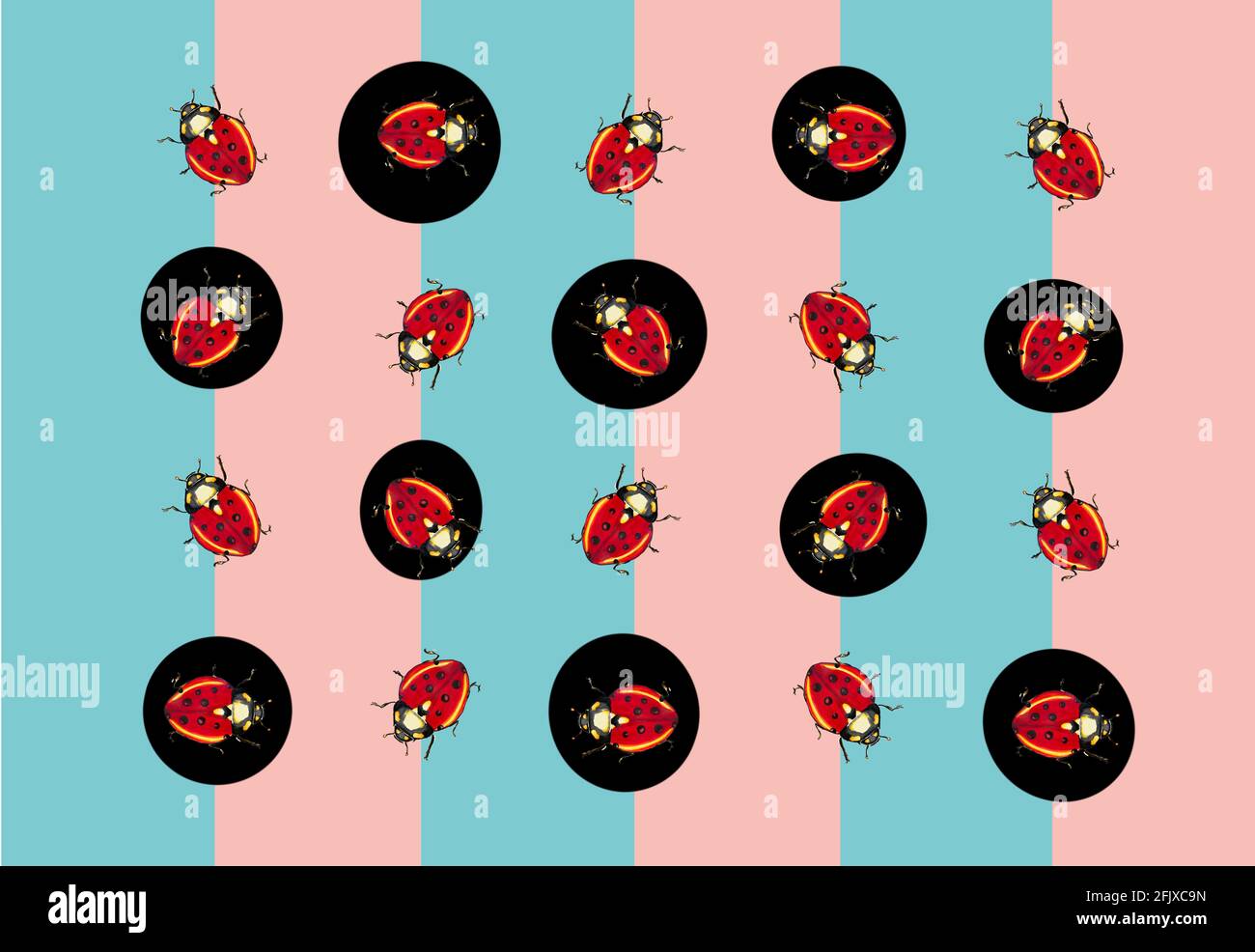 Ladybug Insect Pattern illustration of patterns of a ladybug for textiles or cards, insect ...