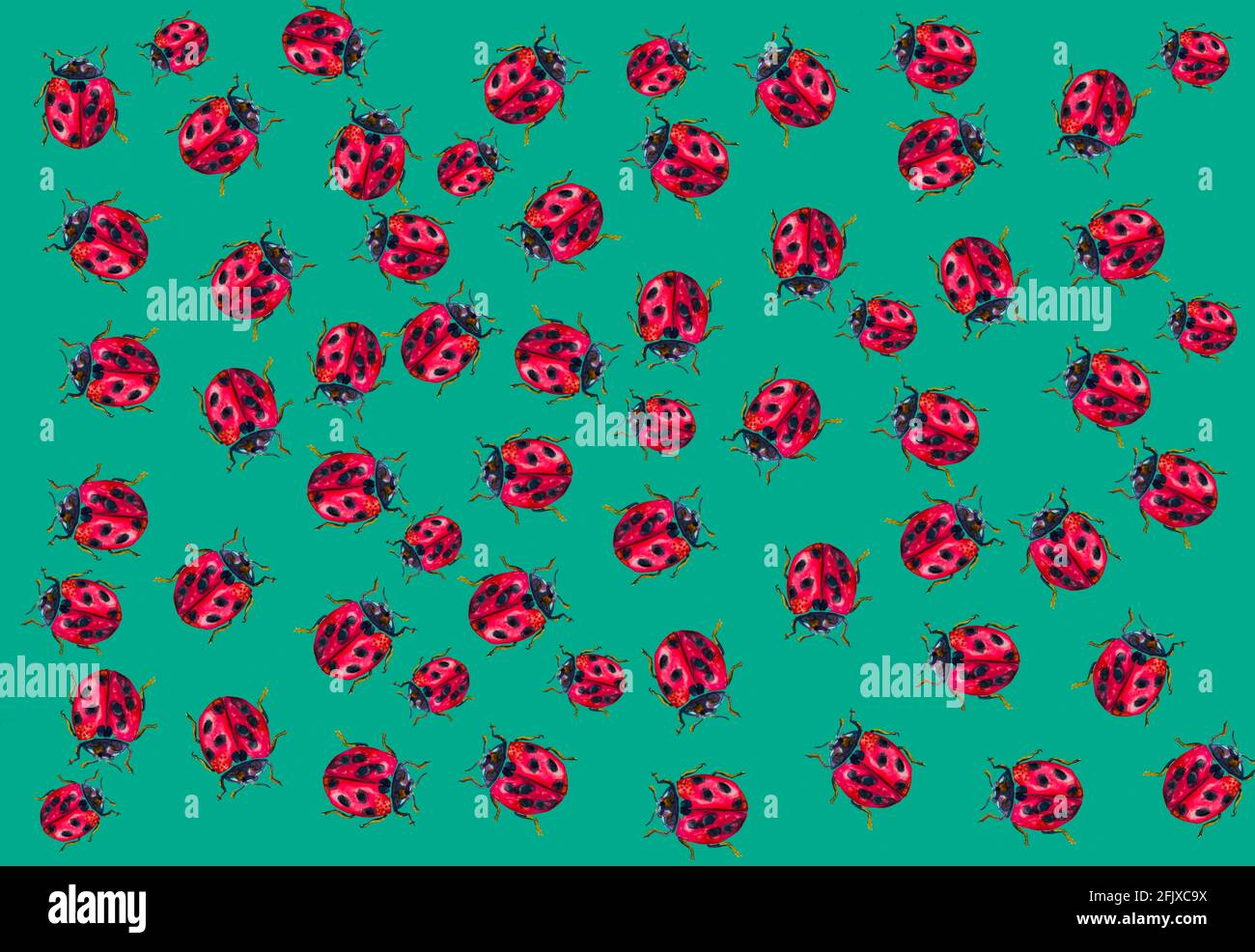 Ladybug Insect Pattern illustration of patterns of a ladybug for textiles or cards, insect ...