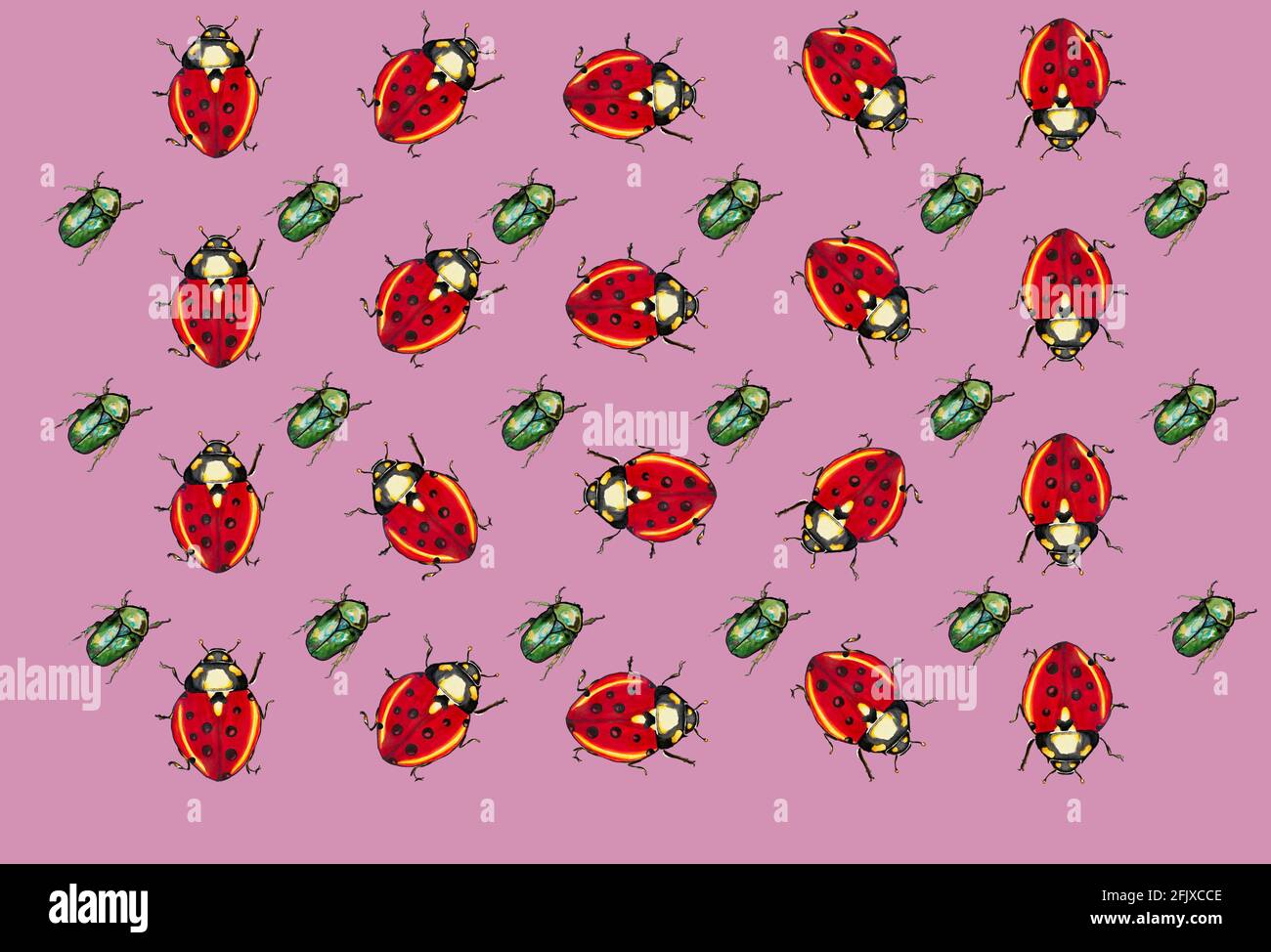 Ladybug Insect Pattern illustration of patterns of a ladybug for textiles or cards, insect ...