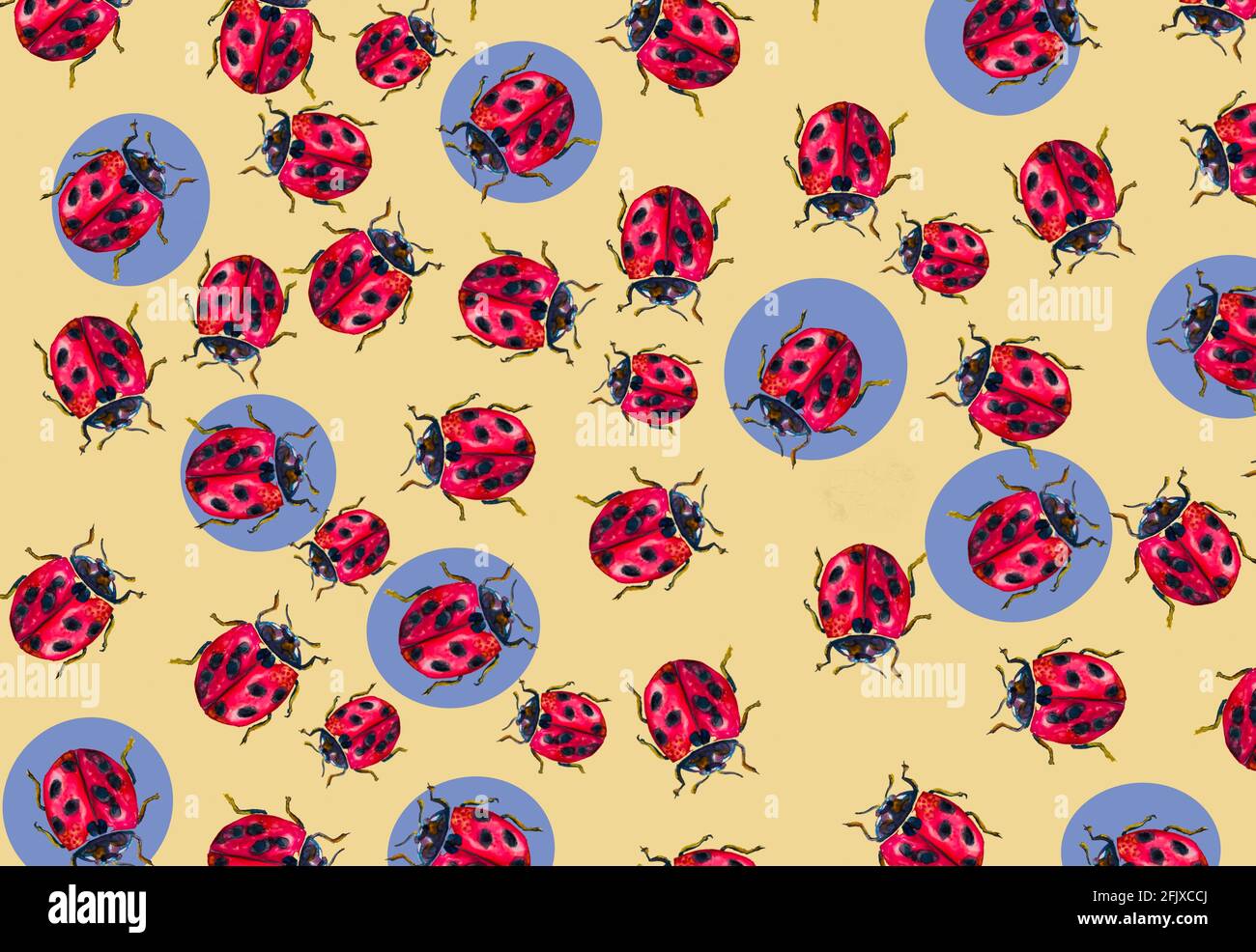 Ladybug Insect Pattern illustration of patterns of a ladybug for textiles or cards, insect ...