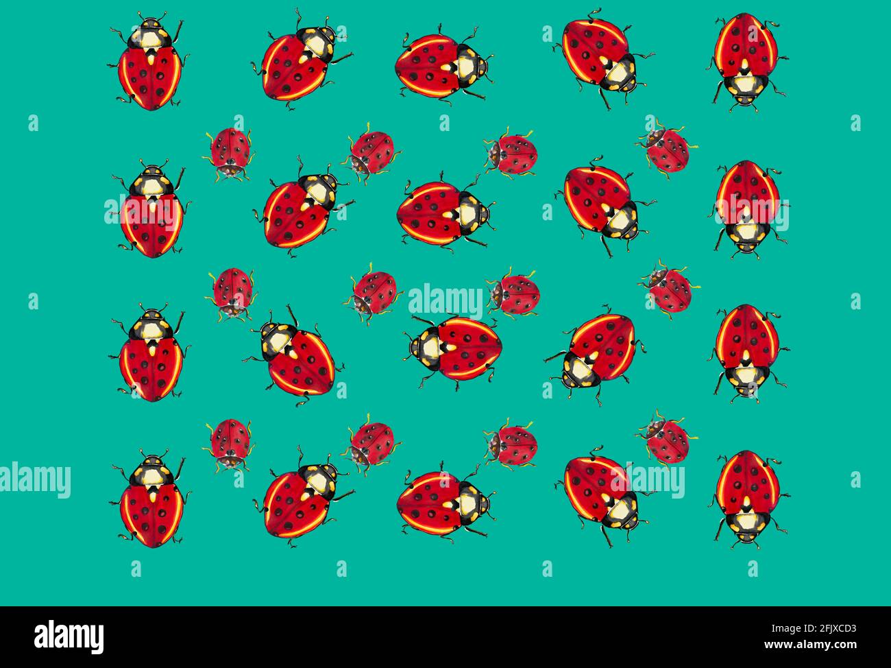 Ladybug Insect Pattern illustration of patterns of a ladybug for textiles or cards, insect ...