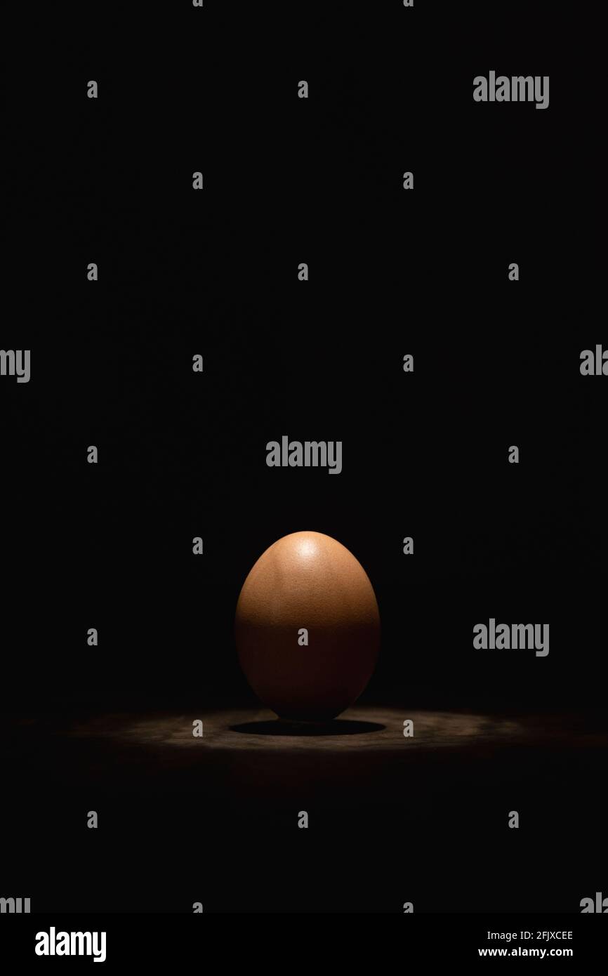 Egg with an overhead light Stock Photo
