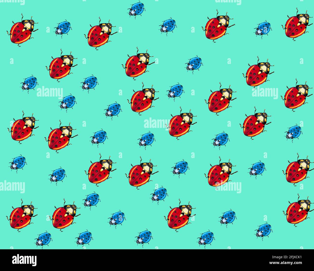 Ladybug Insect Pattern illustration of patterns of a ladybug for textiles or cards, insect ...