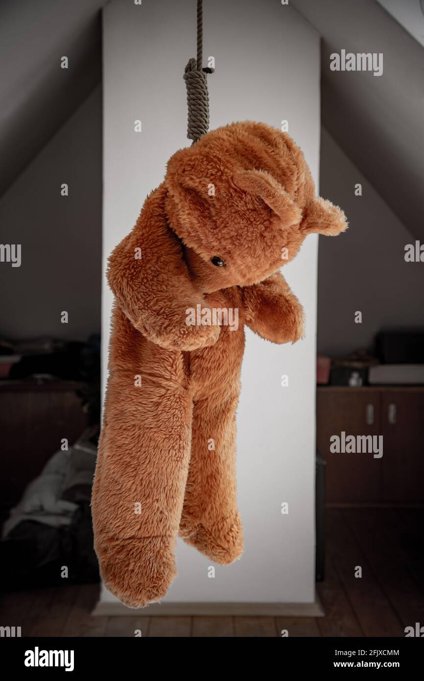 hanging teddy bear