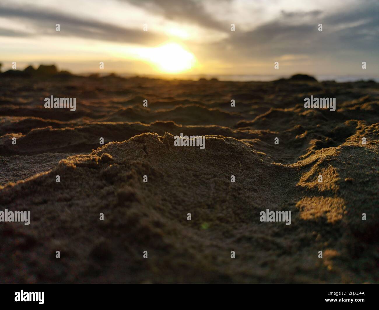 Sea sand with the sun in the background Stock Photo