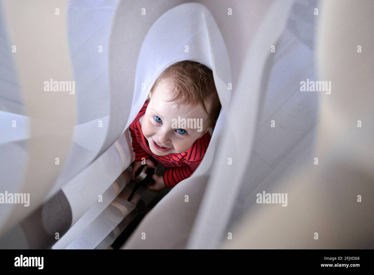 smiling little girl hiding in curtains Stock Photo