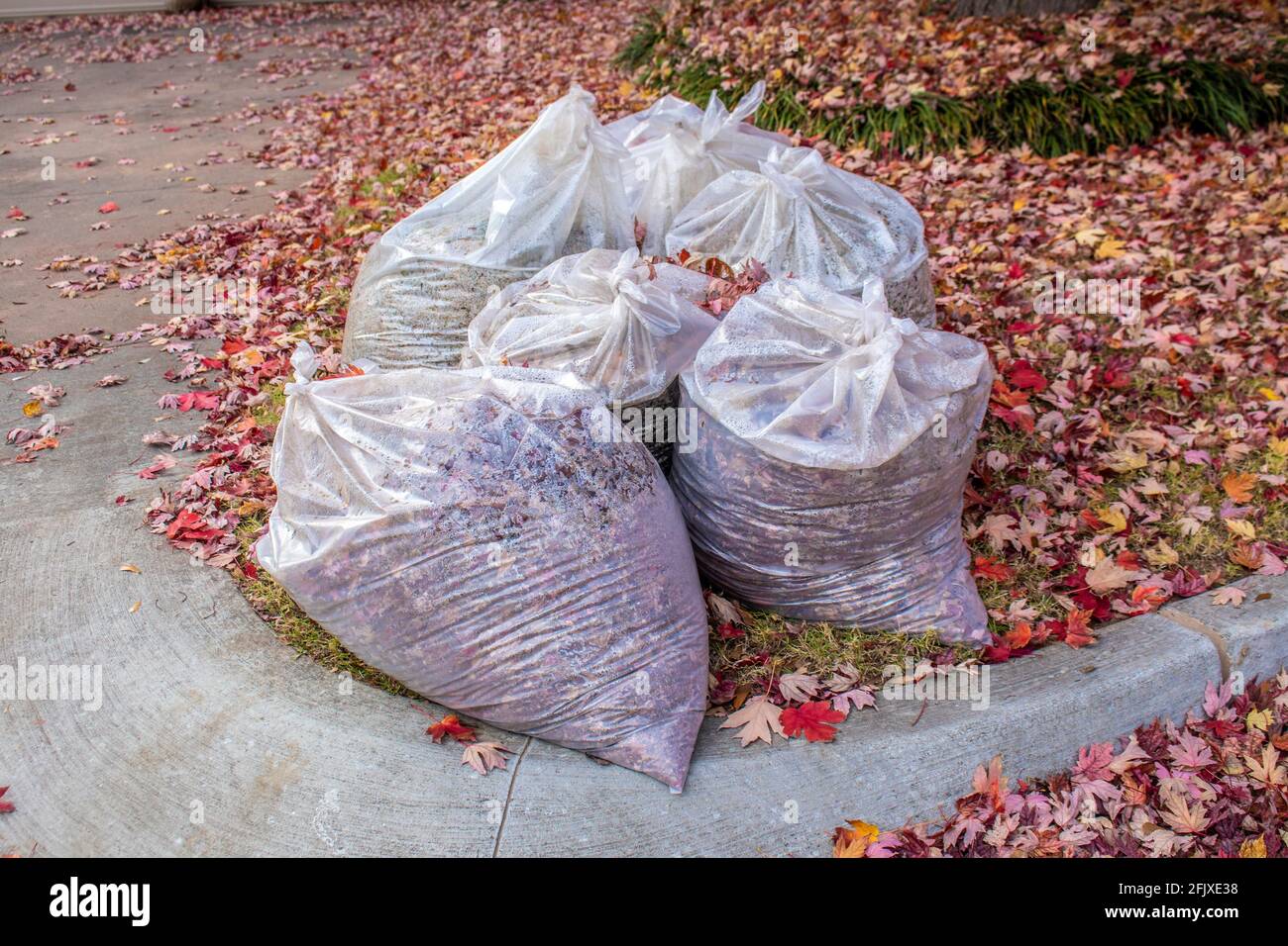 Lawn and leaf bags hi-res stock photography and images - Alamy
