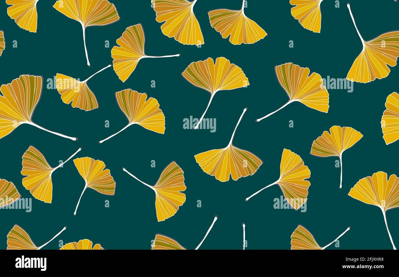 Vector banner of ginkgo biloba leaf. ink line art design. Ginkgo Biloba ...