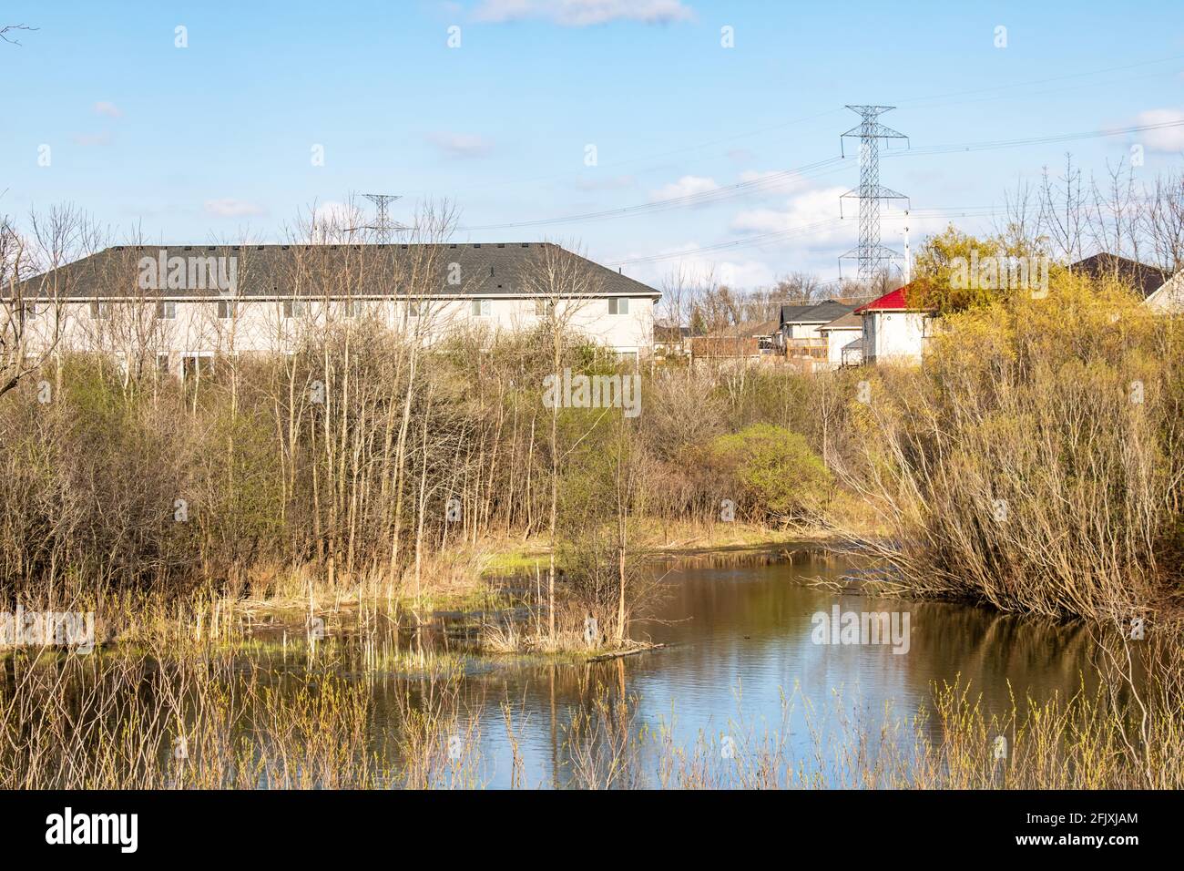 Small wetland among houses and hydro electric tower corridor. Example of sustainable urban drainage system. Stock Photo