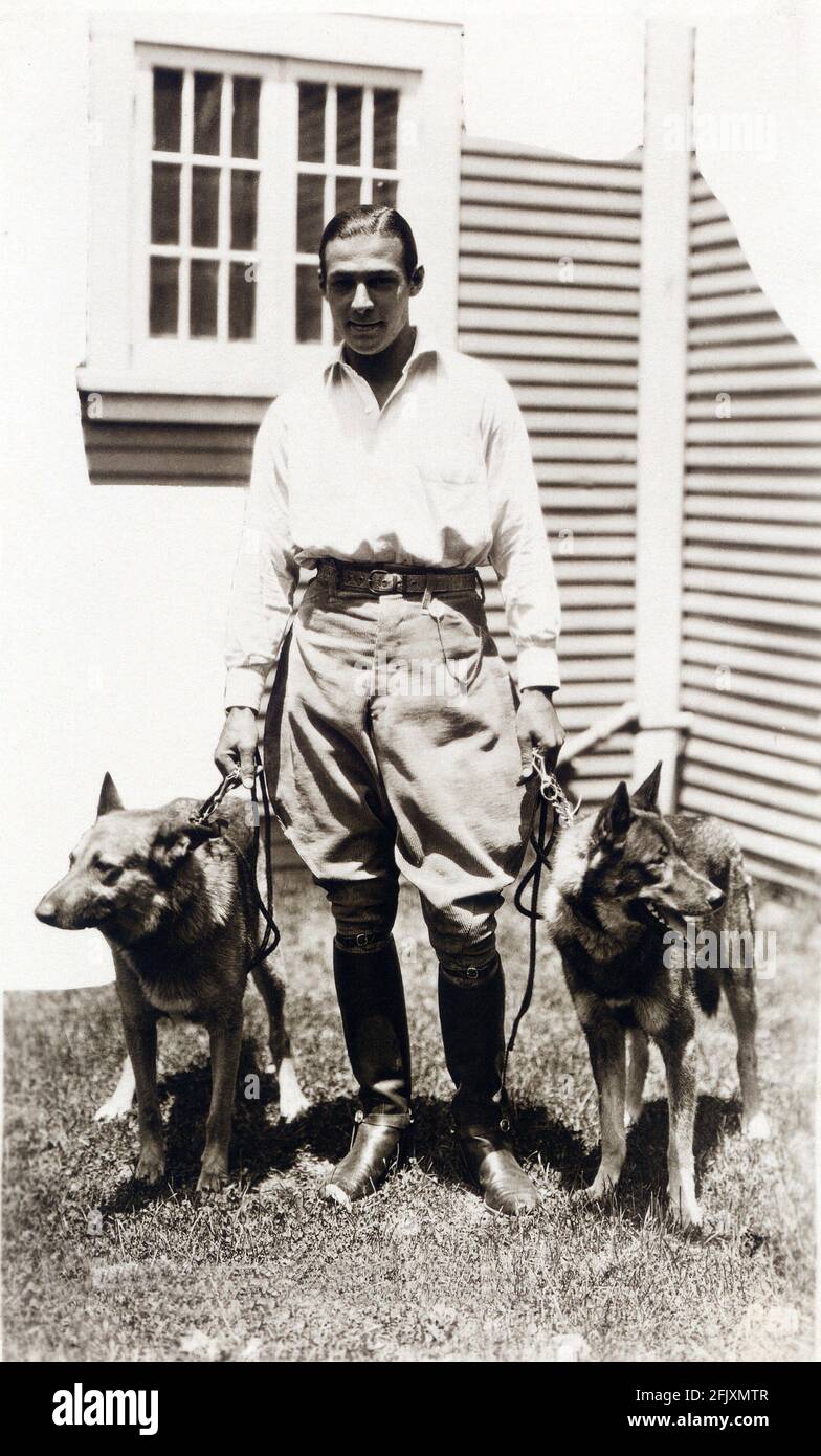 1923 ca., USA : The silent screen movie actor RUDOLPH VALENTINO ( born  Rodolfo Guglielmi , 1895 - 1926 ) with his preferred dogs - CINEMA MUTO -  RODOLFO VALENTINO - attore