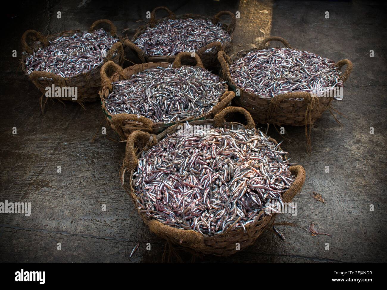 Collection of Anchoviella lepidentostole fish in the basket for sale. Stock Photo