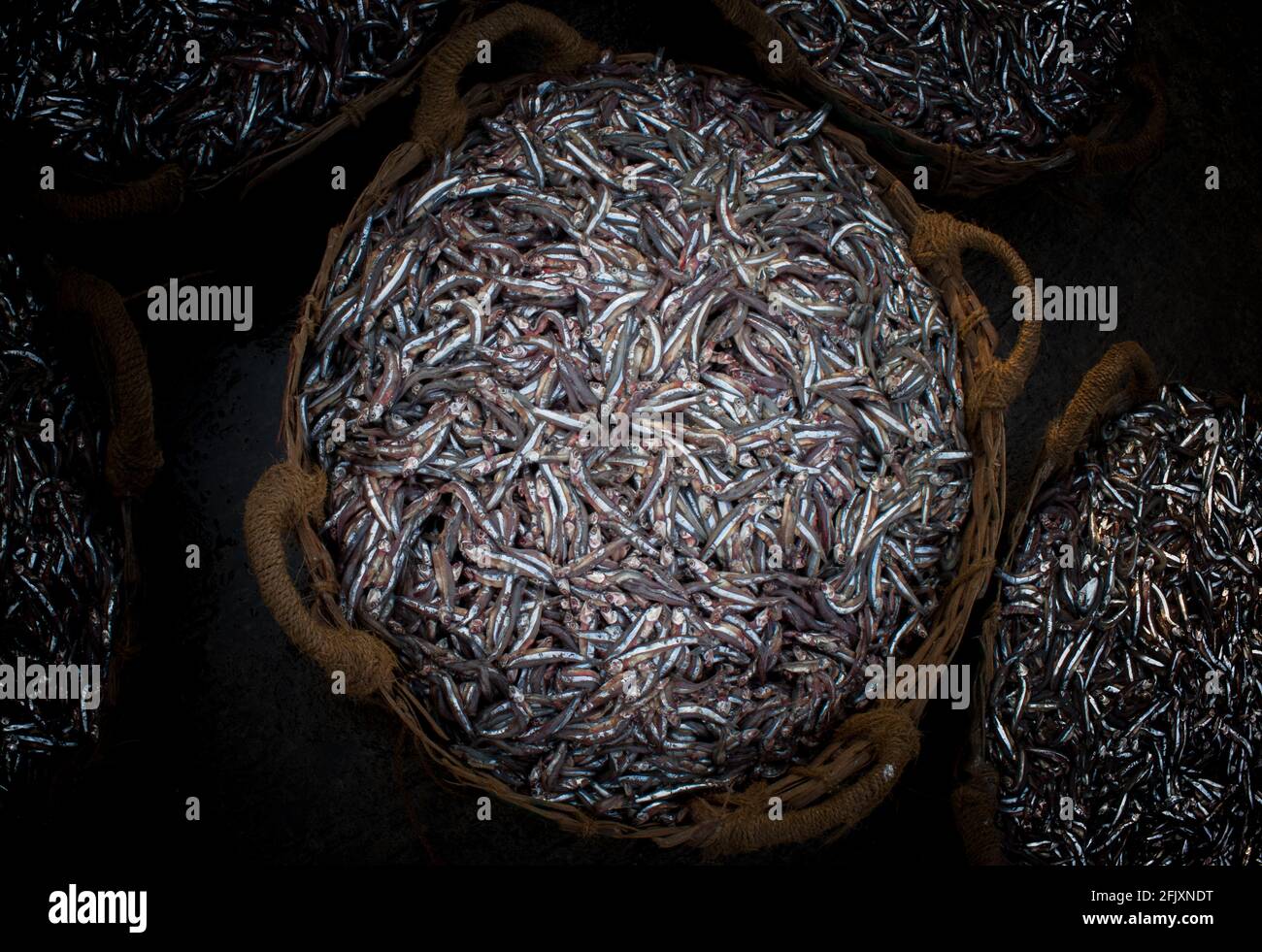 Collection of Anchoviella lepidentostole fish in the basket for sale. Stock Photo