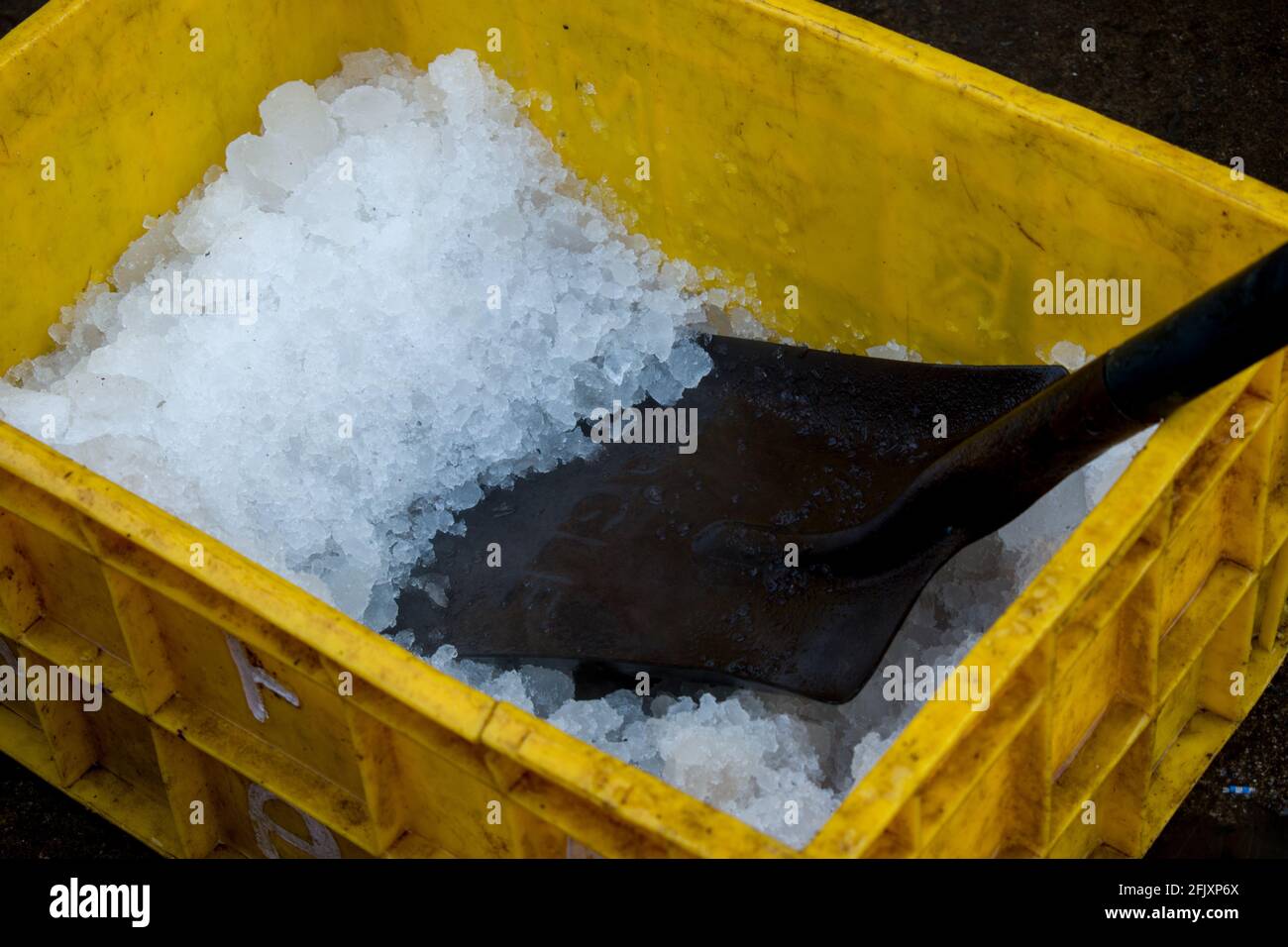 Crushed dry ice for fish packing on the fish crate. Stock Photo