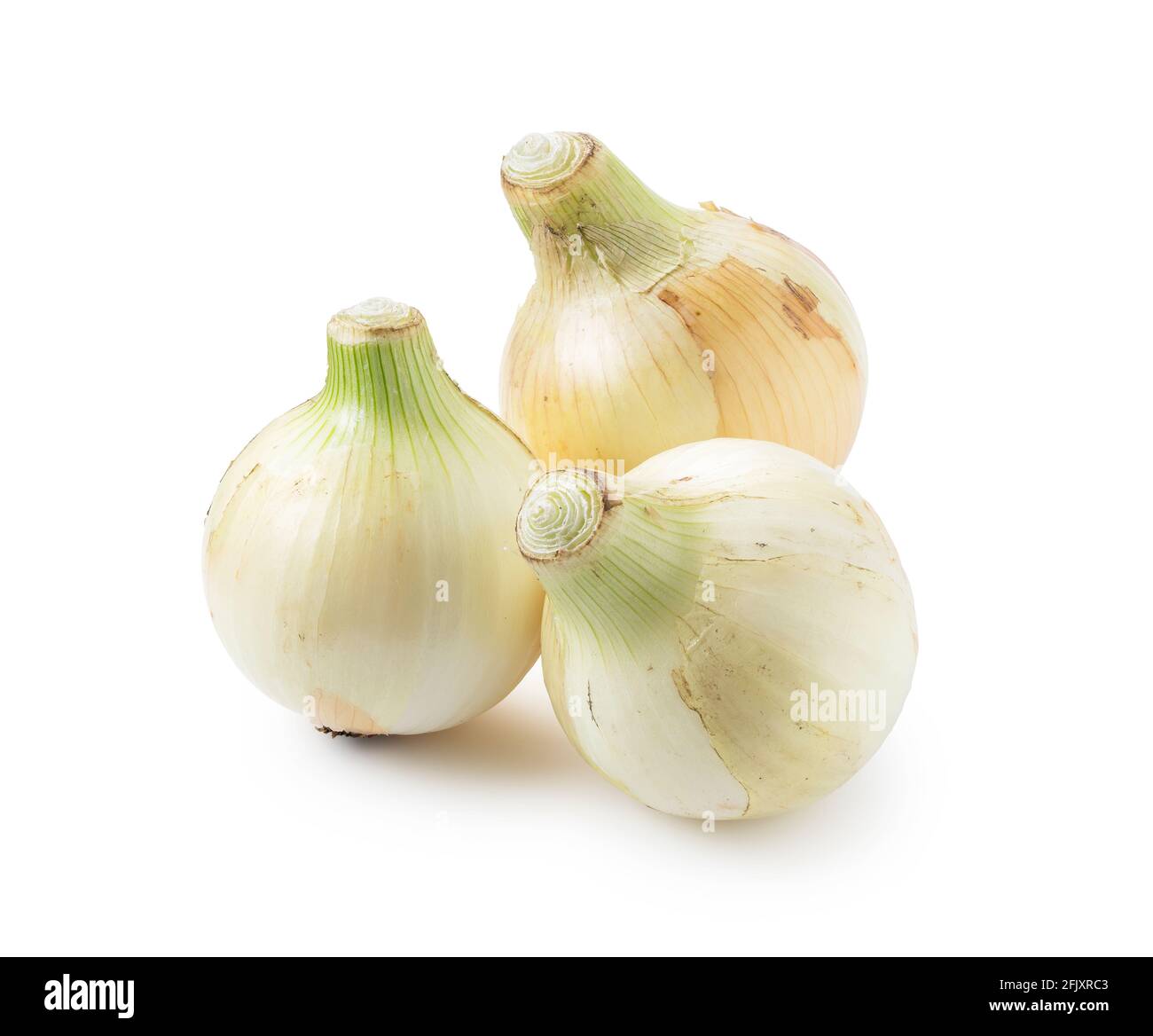 Three new onions on a white background. Stock Photo