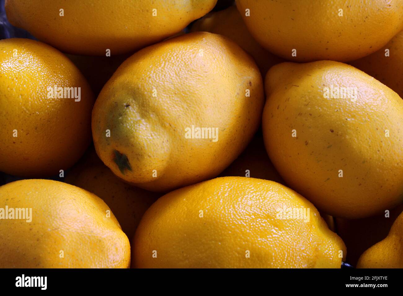 A closeup of a bunch of lemons. Lemon background. Macro shot Stock Photo