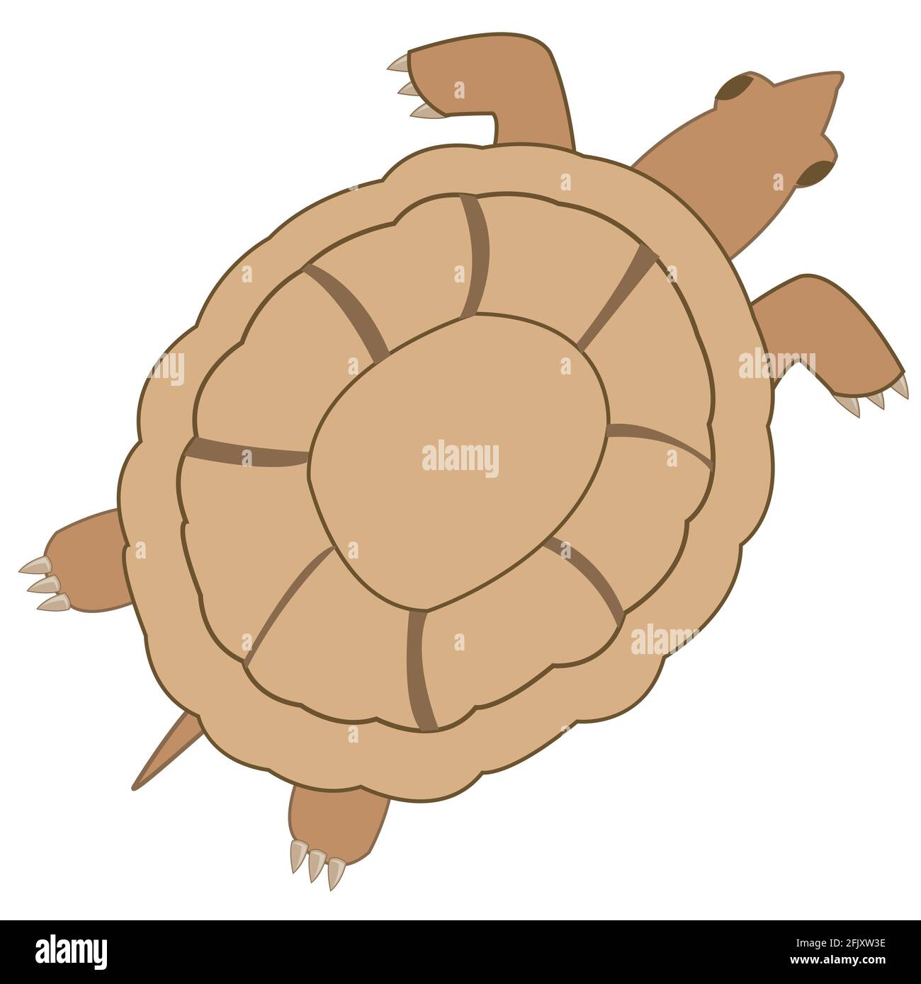 Terrapin type overhand on white background is insulated Stock Vector