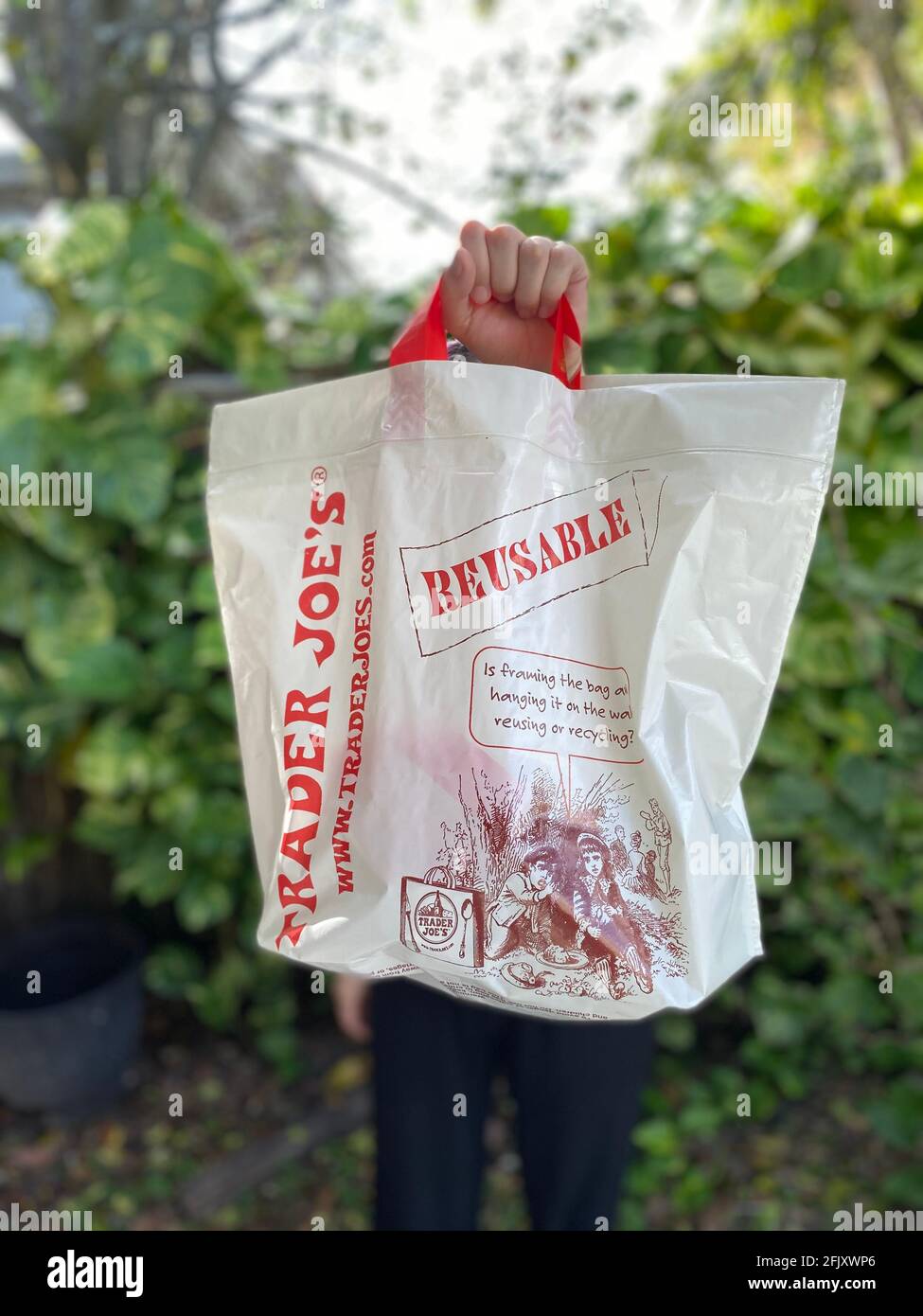 A person holding a reusable trader joe's shopping bag that is environmentally friendly in an outdoor setting. Stock Photo