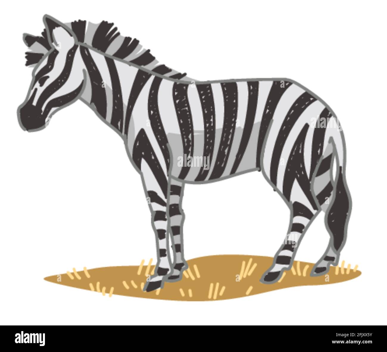 Zebra equine animal with stripes on skin vector Stock Vector